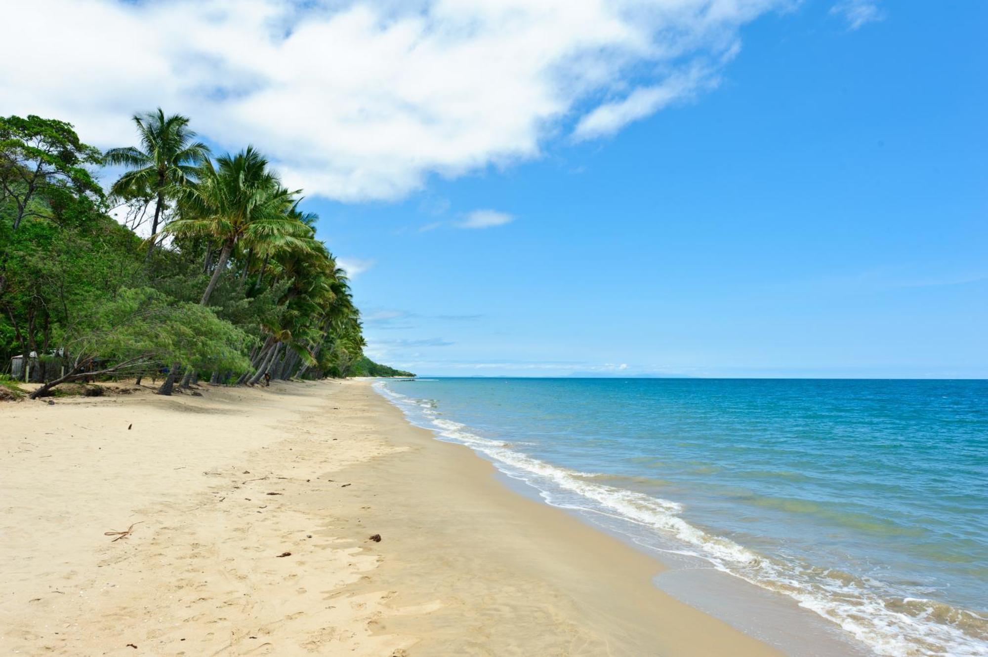 Ellis Beach Oceanfront Holiday Park Palm Cove Exterior foto